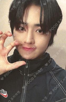 TEMPEST Voyage EVERLINE