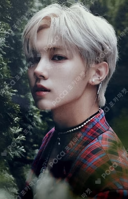 SUN SEEKER PLVE VER. SEEKER VER. SEONGMIN photocard image