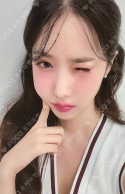2024 SEASON'S GREETINGS MY HOBBY IS EVERLINE