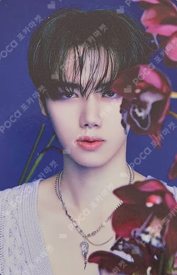 EVERSHINE STARSHIPSQUARE