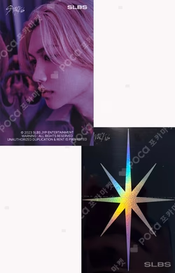 SLBS X Stray Kids