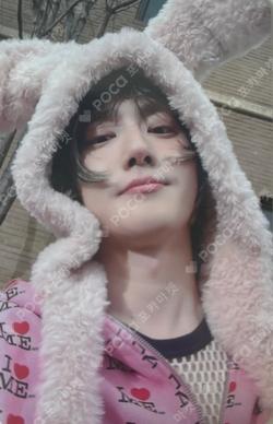 1 to 3 DEAR MY MUSE SUHO photocard image