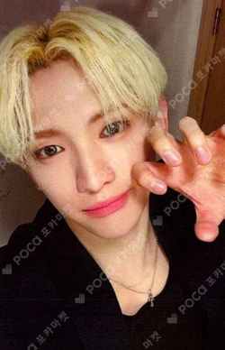 TEMPEST Voyage EVERLINE