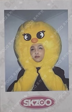 Stray Kids 1ST #LoveSTAY SKZ-X SKZOO GOODS PRE-ORDER SPECIAL GIFT