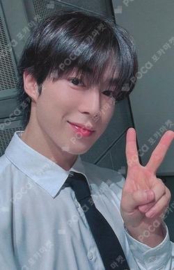 Sequence DEAR MY MUSE