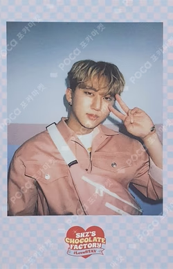 Stray Kids 2ND #LoveSTAY SKZ’S CHOCOLATE FACTORY SKZOO GOODS PRE-ORDER SPECIAL GIFT