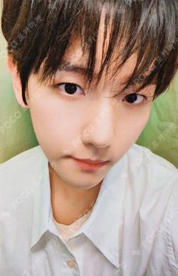 12th Anniversary DOLL PROP SET BAEKHYUN photocard image