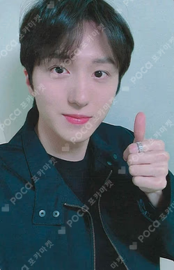 Sequence DEAR MY MUSE