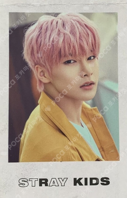 Pocamarket, Stray Kids I.N Stray Kids World Tour District 9