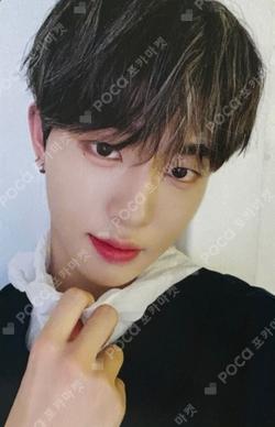 2023 SEASON'S GREETINGS DREAMIN CLUB