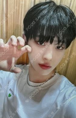 SEVEN SINS DEAR MY MUSE