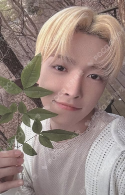 ATEEZ 2024 SUMMER PHOTOBOOK KQ SHOP