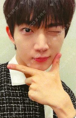 TEMPEST Voyage EVERLINE