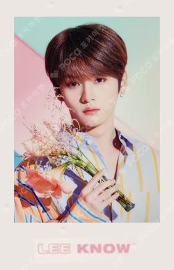 Stray Kids World Tour District 9 : Unlock in JAPAN Photo card set