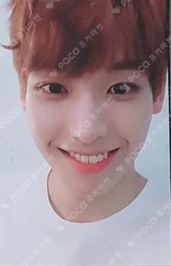 WOW CAFE INSEONG photocard image