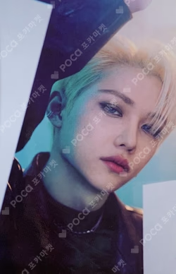 Stray Kids 2nd World Tour MANIAC in Seoul RANDOM PHOTOCARD