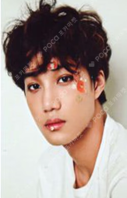 2016 S.M.ARTIST SEASON'S GREETING EXO GLOBAL Ver.