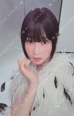 BELLA GISELLE photocard image