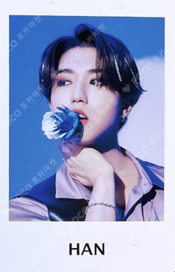 Stray Kids 2nd World Tour MANIAC in JAPAN Photo card set