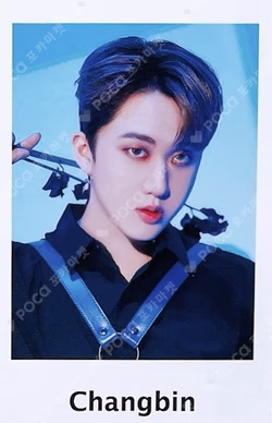 Stray Kids 2nd World Tour MANIAC in JAPAN Photo card set