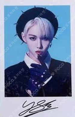 Stray Kids 2nd World Tour MANIAC in JAPAN Photo card set