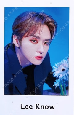 Stray Kids 2nd World Tour MANIAC in JAPAN Photo card set