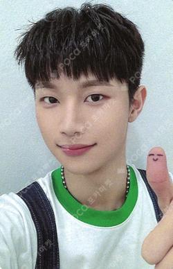 HOUSE OF TRICKY : Trial And Error EVERLINE HYUNWOO photocard image