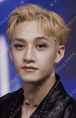 DICON D'FESTA MINI EDITION : Stray Kids