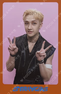 DICON D'FESTA MINI EDITION : Stray Kids