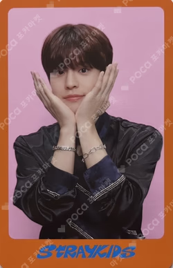 DICON D'FESTA MINI EDITION : Stray Kids