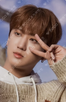 DICON D'FESTA MINI EDITION : Stray Kids