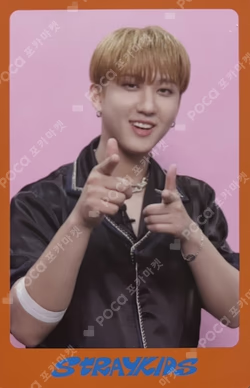 DICON D'FESTA MINI EDITION : Stray Kids