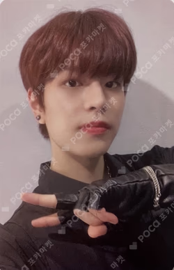 DICON D'FESTA MINI EDITION : Stray Kids