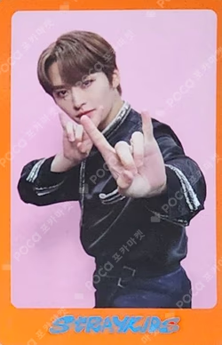 DICON D'FESTA MINI EDITION : Stray Kids