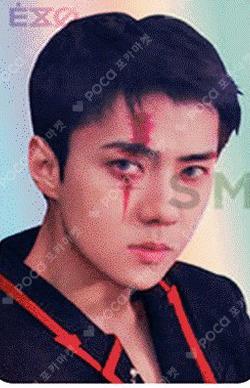 OBSESSION HOLOGRAM PHOTO CARD SET (X-EXO ver.)