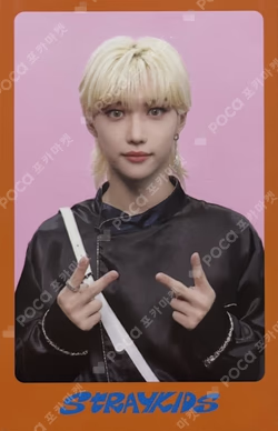 DICON D'FESTA MINI EDITION : Stray Kids