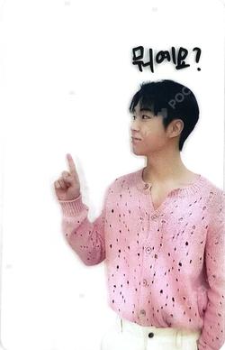 2023 SEASON’S GREETINGS - A DREAMY FANTASY