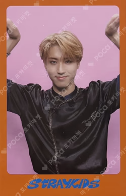 DICON D'FESTA MINI EDITION : Stray Kids