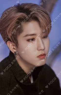 DICON D'FESTA MINI EDITION : Stray Kids