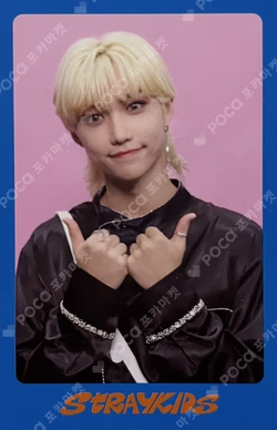 DICON D'FESTA MINI EDITION : Stray Kids