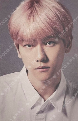 Pocamarket, EXO BAEKHYUN BIRD FC Limited Edition ver. K-pop Photocard