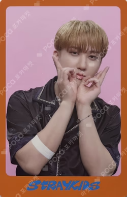 DICON D'FESTA MINI EDITION : Stray Kids