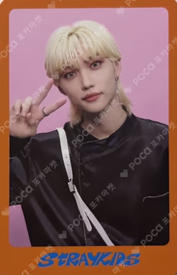 DICON D'FESTA MINI EDITION : Stray Kids