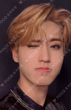DICON D'FESTA MINI EDITION : Stray Kids