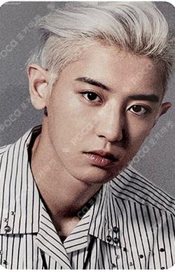 BIRD FC Limited Edition ver. CHANYEOL photocard image