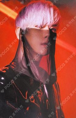 OBSESSION LENTICULAR CARD SET