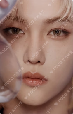 DICON D'FESTA MINI EDITION : Stray Kids