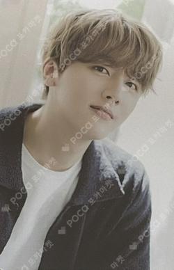 SF9 2nd Photo Book [COMMA] PHOTO CARD SET