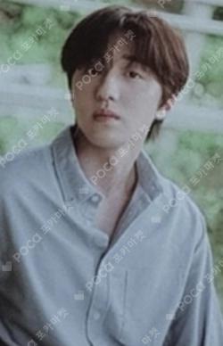 SF9 2nd Photo Book [COMMA] PHOTO CARD SET CHA NI photocard image