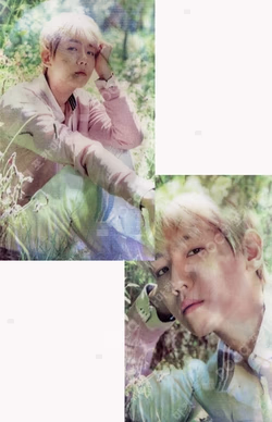 NATURE REPUBLIC